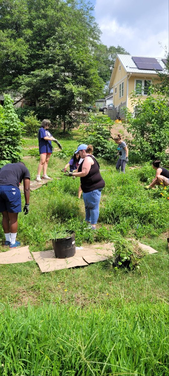 SustainingWay's tweet photo. Check out this before and after of our zinnia and peanut patch! We had some wonderful volunteers from Front Porch Housing come out to help us with the weeding. https://t.co/fuAqAOlWtB