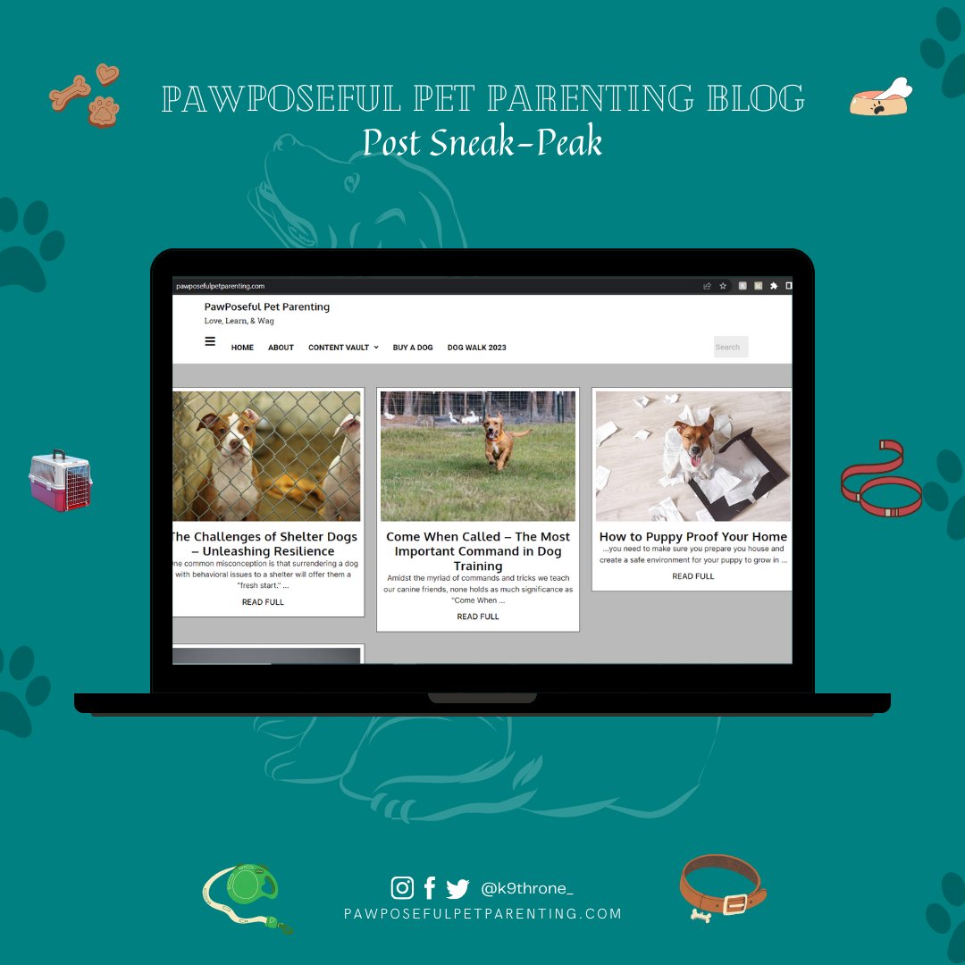 🕵️ Get ready for the inside scoop! Here's a sneak peek of our upcoming blog posts on PawPoseful Pet Parenting. Stay tuned for the launch on the 24th of July, 2023! 🐾✨ 
(Link to blog in bio)
#PawPoseful #PetParenting #SneakPeek #pawposefulpetparenting #dogblog #dog #petblog