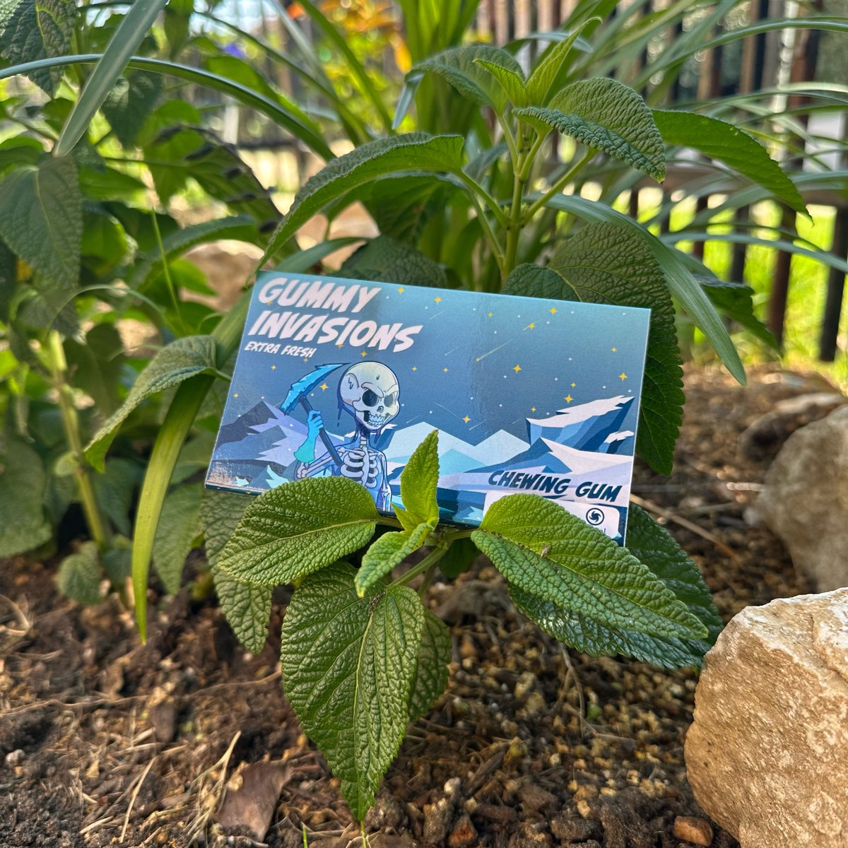 Gummyinvasions's tweet photo. Extra Fresh Mint, Extra Fresh Gum 🍃 
#EnjoyTheChew https://t.co/ZyzrkmLjXT