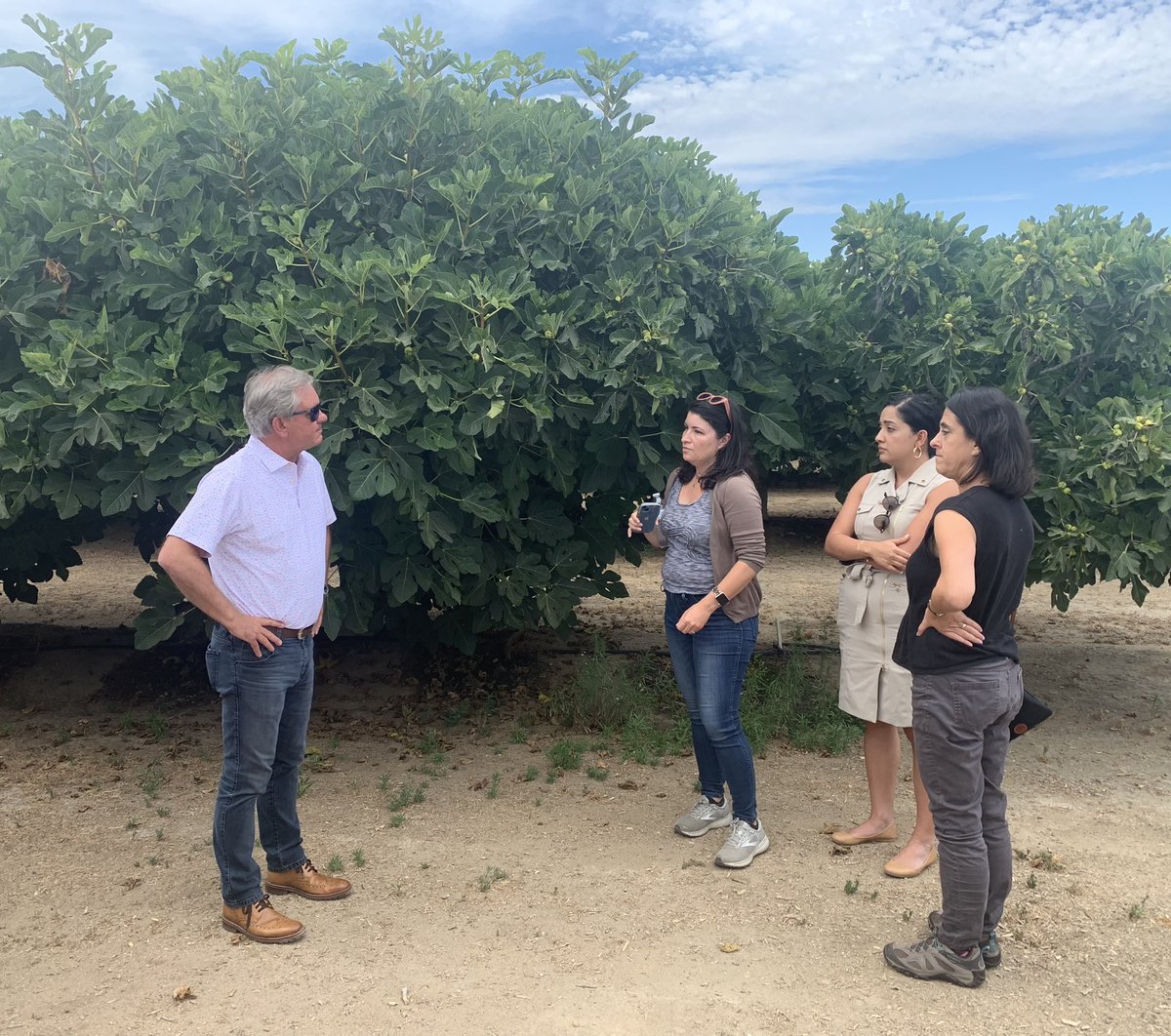 This week, CFFA staff in collaboration with other ag organizations participated in a two-day tour with the chair and board members  from the ALRB. The tour included stops at Association member operations Greene and Hemly and The Specialty Crop Company. #EatFreshFruit