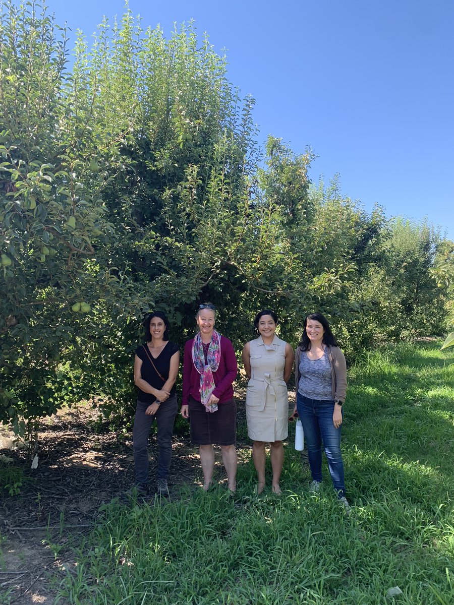 Cal Fresh Fruit tweet media