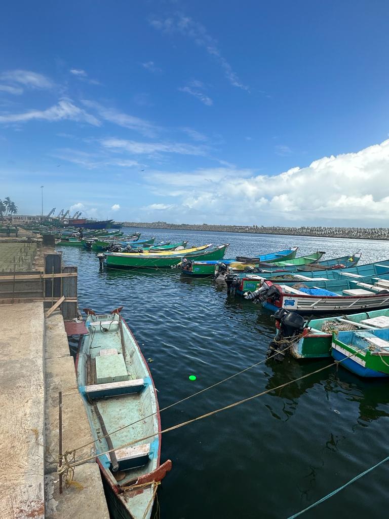 InSeason Fish (@inseasonfish) on Twitter photo Read about a field story from one of the reserachers <a href="/Abhishek_PhD_22/">Abhishek Dudi</a> from a habour on the southernmost tip of India!
Have you heard that Tamil Nadu has an East & a West Coast?
Here's what fishing in the deep south, i.e. Kanyakumari district looks like during the fishing ban. Read about a field story from one of the reserachers <a href="/Abhishek_PhD_22/">Abhishek Dudi</a> from a habour on the southernmost tip of India!
Have you heard that Tamil Nadu has an East & a West Coast?
Here's what fishing in the deep south, i.e. Kanyakumari district looks like during the fishing ban.
