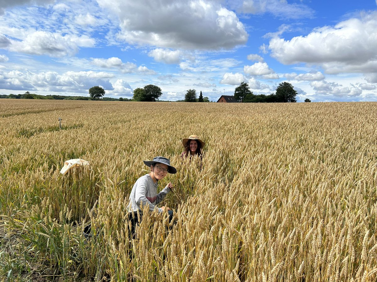 Daniel MN Poultney tweet media