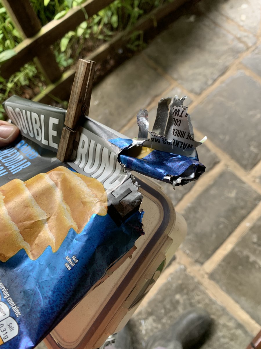 Swinging around in the trees up at <a href="/lockerbrookfarm/">LockerbrookFarm</a>  Outdoor Centre again today. Learnt not to leave my lunch unattended as it turns out the local squirrels are quite partial to a cheese and onion crisp!