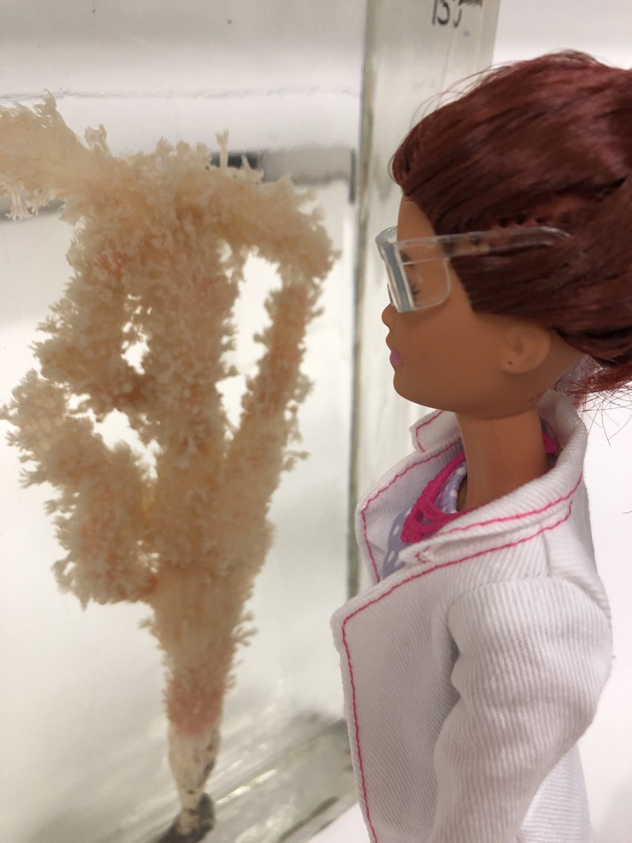Natural Sciences NMS tweet media
