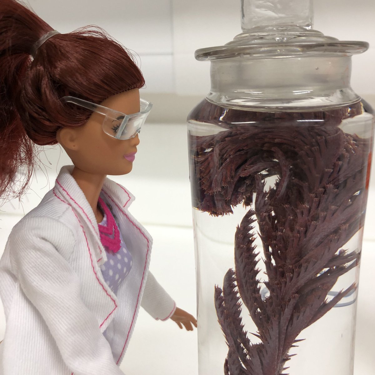 Natural Sciences NMS tweet media