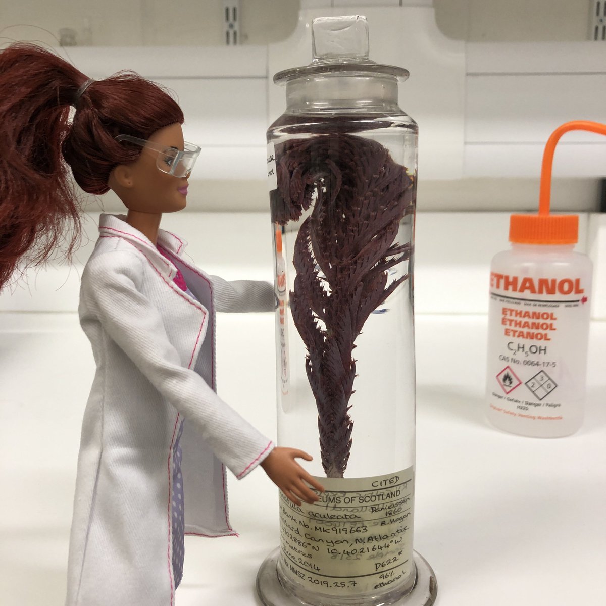 Natural Sciences NMS tweet media