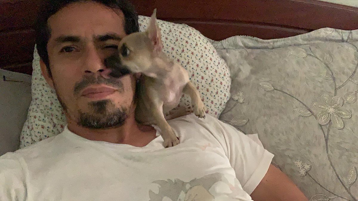 emenlo's tweet photo. Día mundial del perro 🐕 https://t.co/XR6Ajrtvv0
