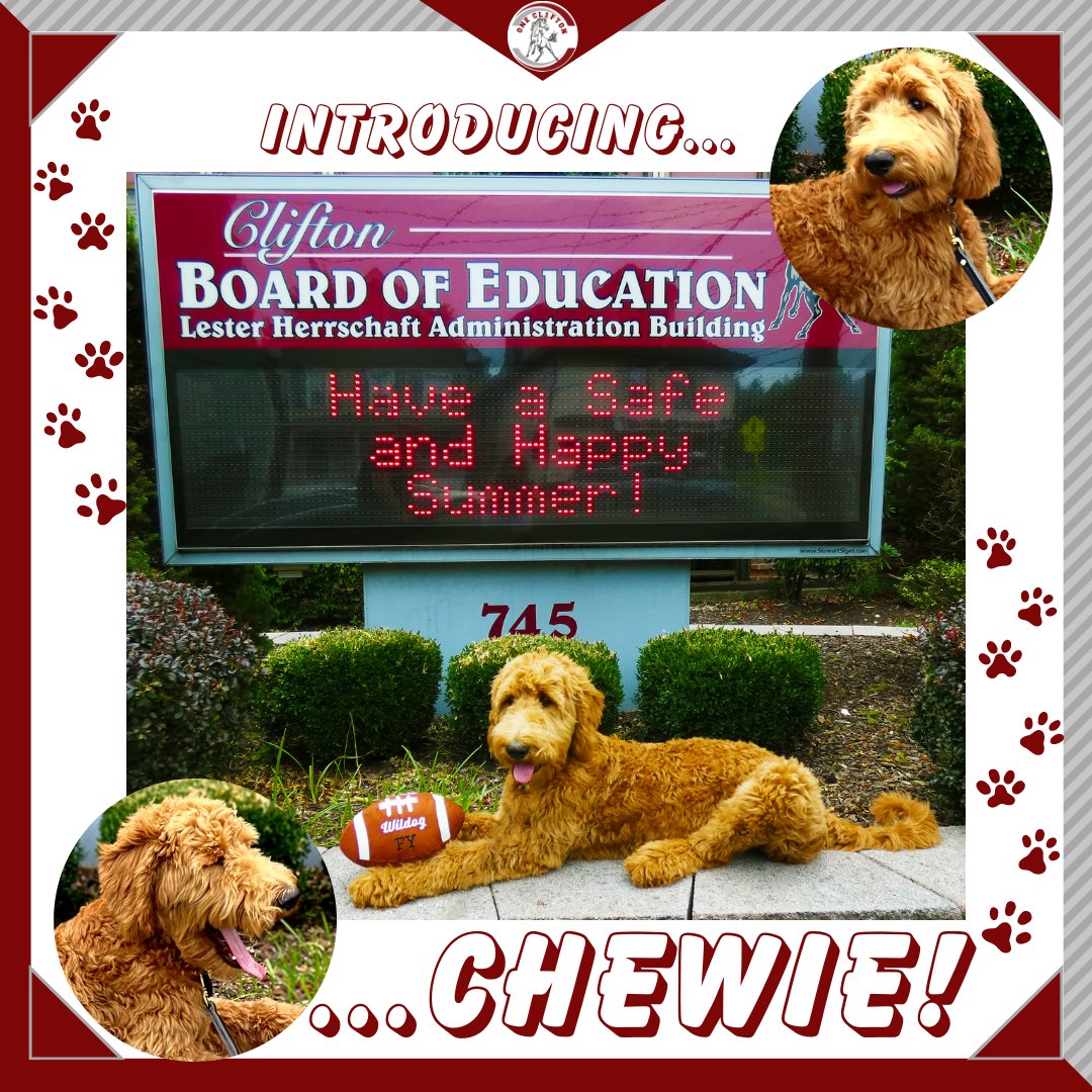 CliftonSchools's tweet photo. Welcome, Chewie!

#OneClifton https://t.co/LbCWGPLfWW