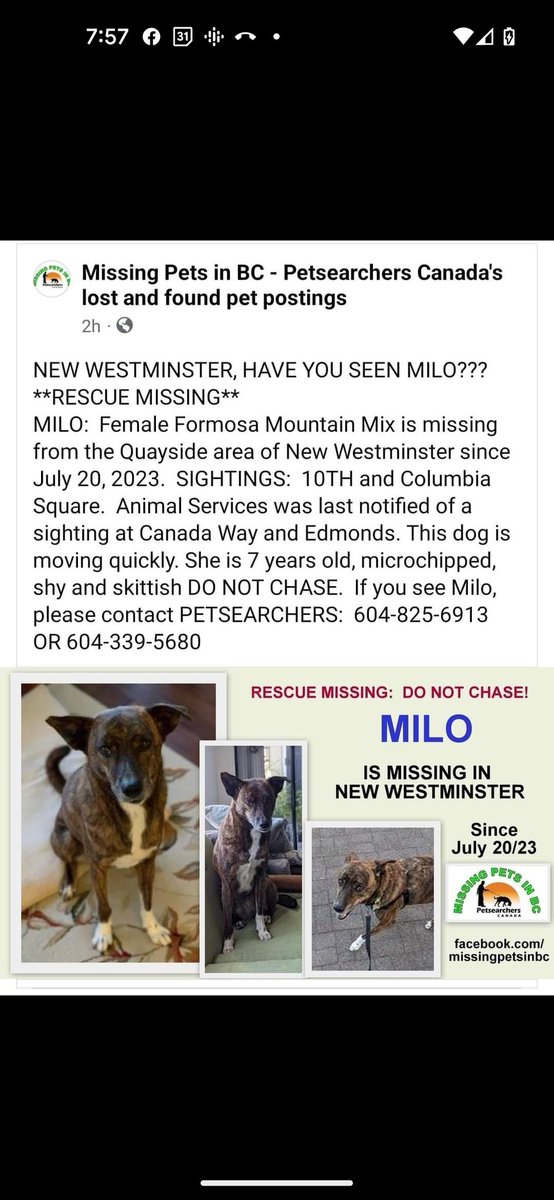 Paul Wong 👋🏼👨🏻‍💻🙏🏼 tweet media