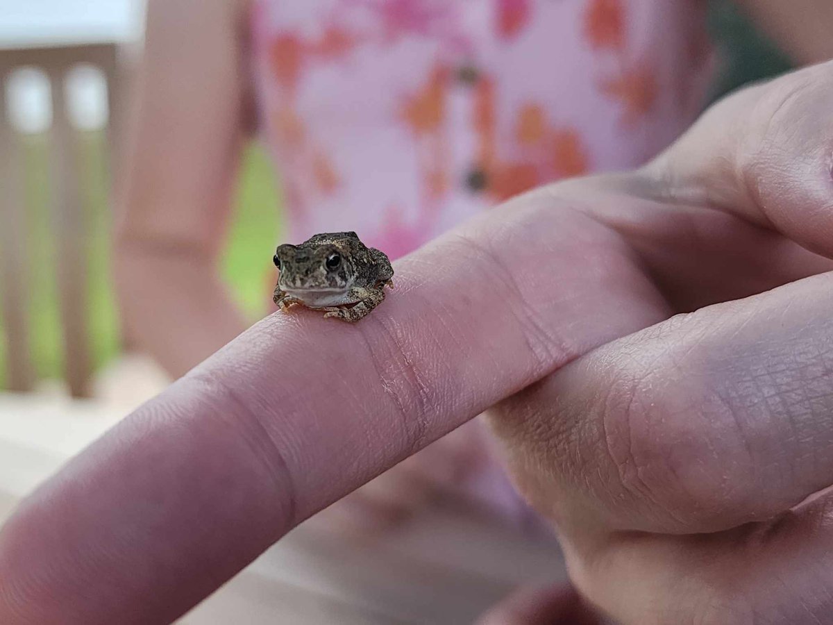 Look at this tiny guy on my finger!!!!