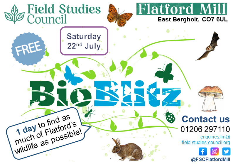 Looking forward to welcoming you at Field Studies Council Flatford Mill tomorrow! With lots of activities &amp; many species to find, there’s something for everyone at this year’s #BioBlitz🔎Come and discover our wildlife!
#flatfordmill #nature #summer #meadow #woods #ponds #suffolk