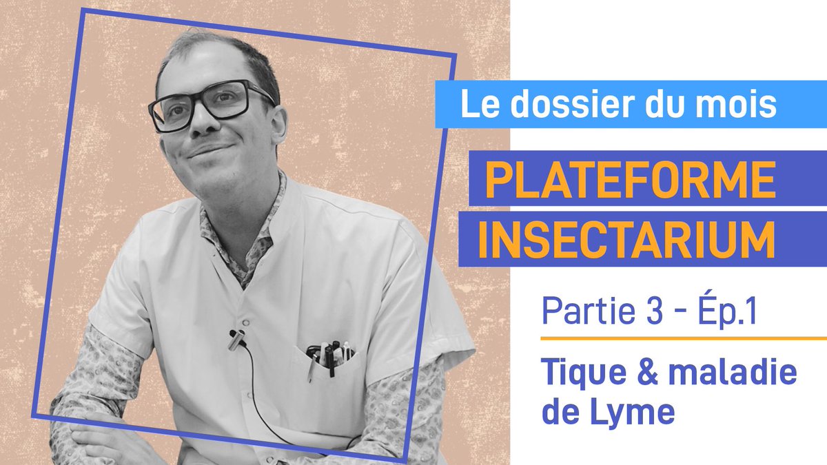 En cette saison propice aux randonnées 🥾 nous vous proposons de découvrir nos récents travaux de recherche sur l’arthropode vecteur de la maladie de #Lyme : la tique ixodes ricinus !

youtu.be/C0pmc2Eq-Zc