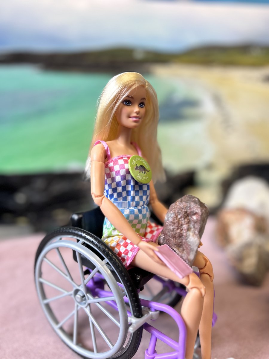 GeolSoc's tweet photo. This @Barbie is on fieldwork! 🔨 https://t.co/2gin0oep6j