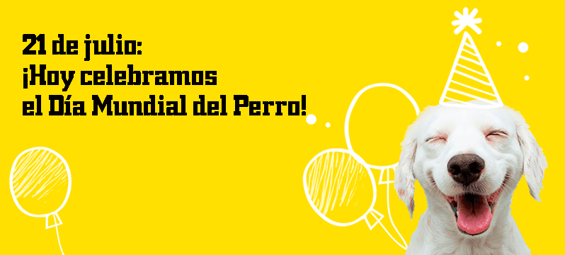 SoloPerros3's tweet photo. 21 de julio: ¡Hoy celebramos el Día Mundial del Perro!
https://t.co/wrDRQHCGva
#diamundialdelperro #diainternacionaldelperro #diadelperro https://t.co/aacESCBn3r