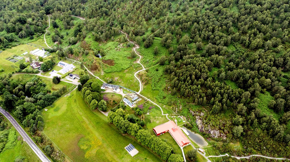 JOB OPPORTUNITY | Dundreggan Estate Manager 🌳

Do you have the experience and passion to manage our flagship rewilding estate in Glenmoriston? Head to our website to learn more about this truly unique opportunity. 

👉 treesforlife.org.uk/jobs