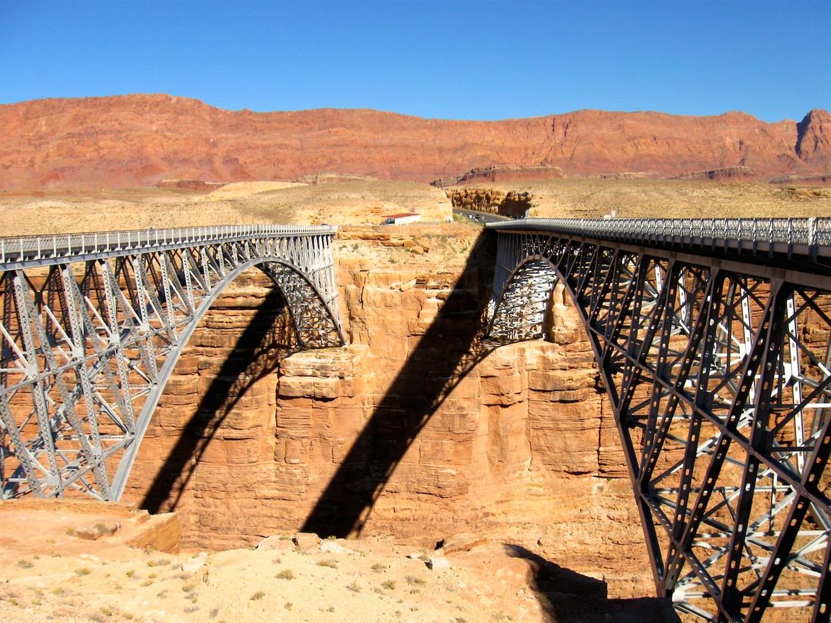 Roger Naylor tweet media