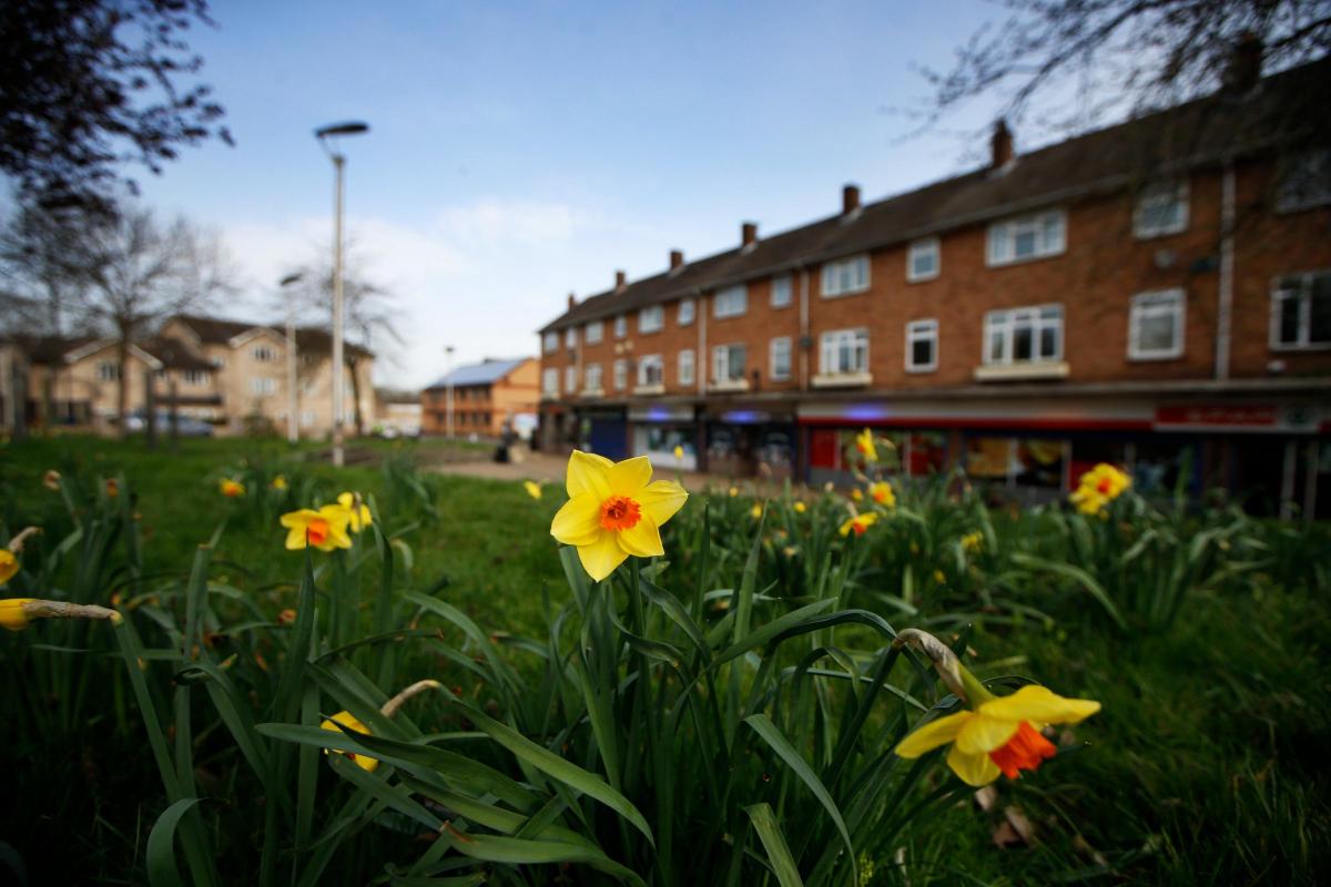 MovingSoonUK's tweet image. Oxford Council are showing their commitment to affordable housing by agreeing to spend £285,000 on new affordable housing for refugees in Headington 🙌 

Find out more here: bit.ly/3pnecZB

#affordablehousing #movinghouse #movinghousetips #movinghouses