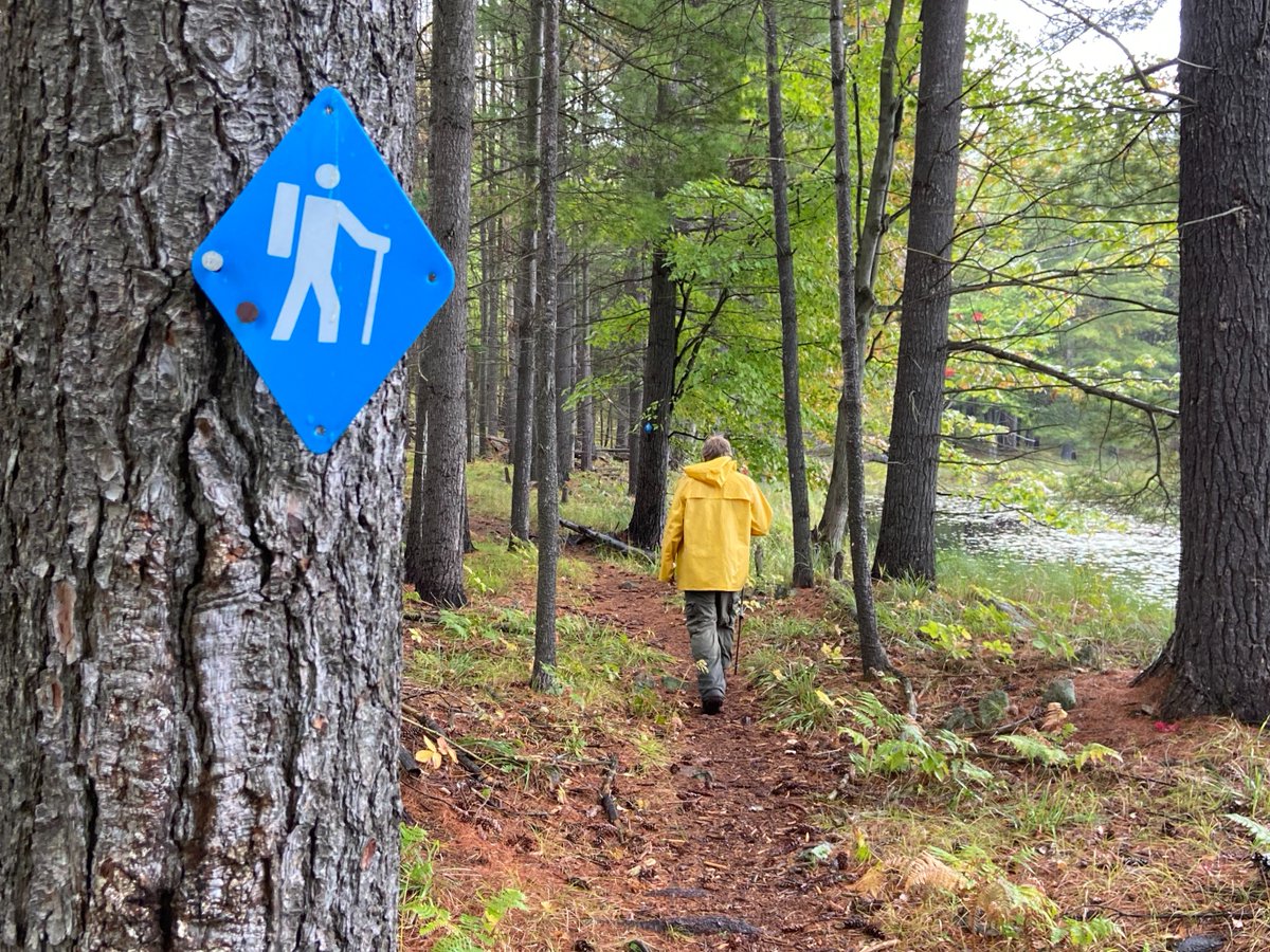FrontenacPP's tweet image. What are you doing today to celebrate Healthy Parks Healthy People Day?!

🌳☀️🛶🥾🏊📗🎨🐦 

We hope everyone is able to get outside today and get your dose of nature!

#HPHP