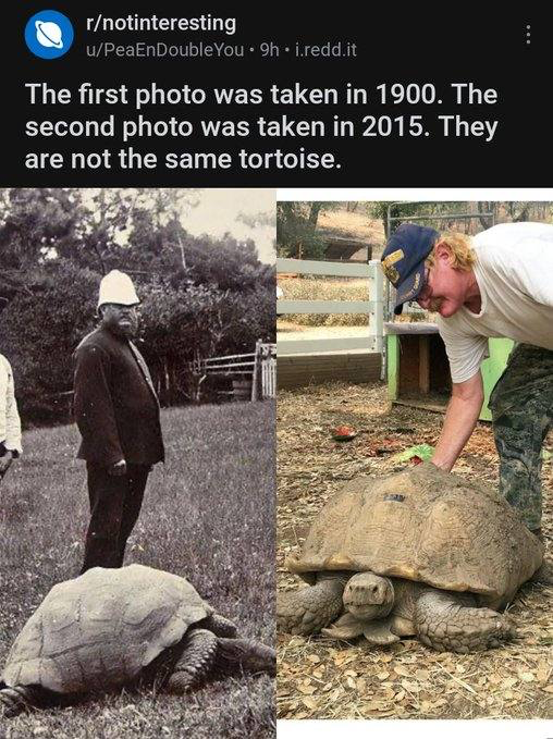 speshkov's tweet image. 