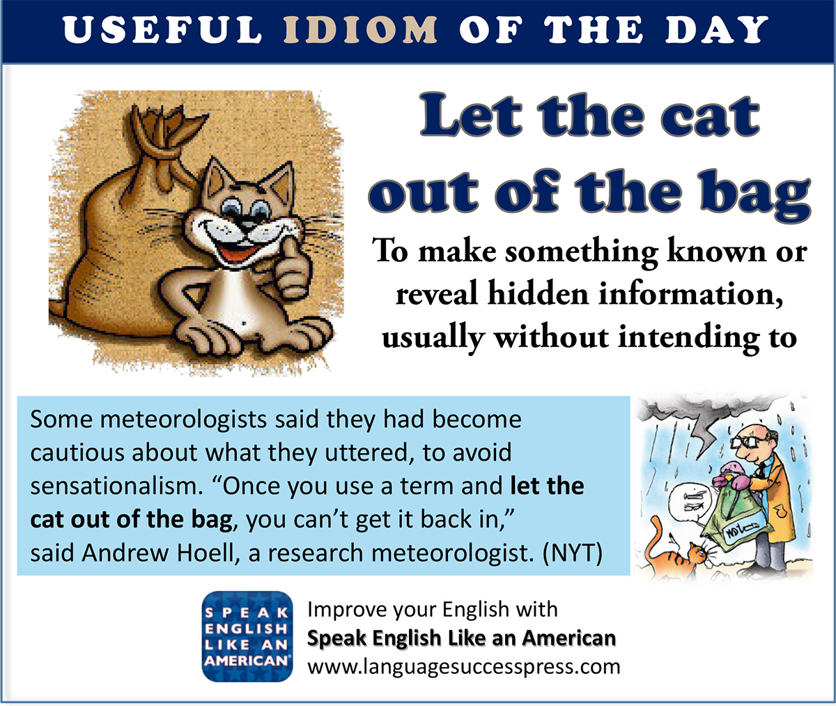 The Cat's Out of the Bag - Game of Idioms by Speak Well