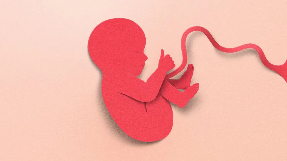 ReplyFertility tweet picture