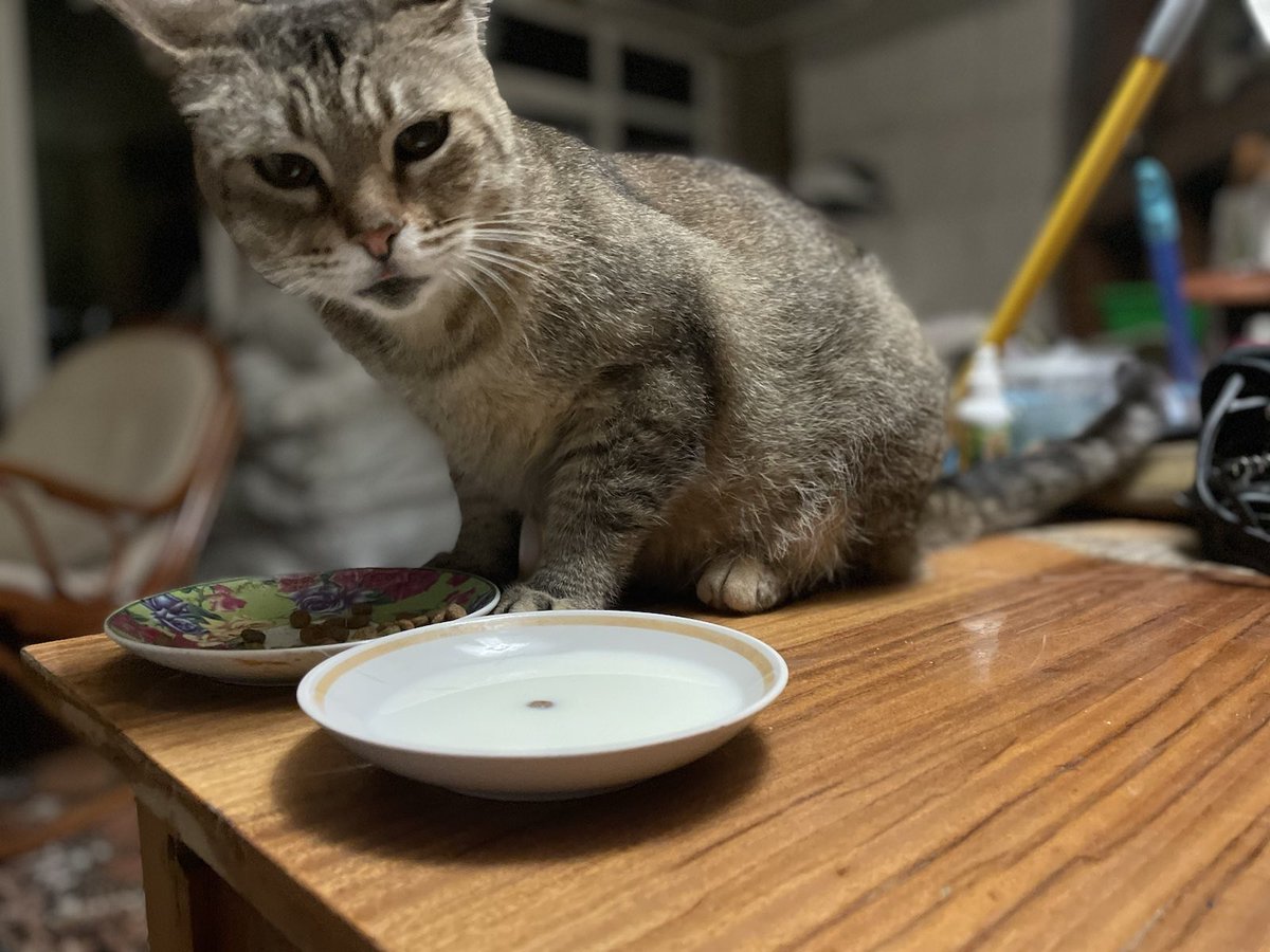 Global Outreach Doctors tweet media