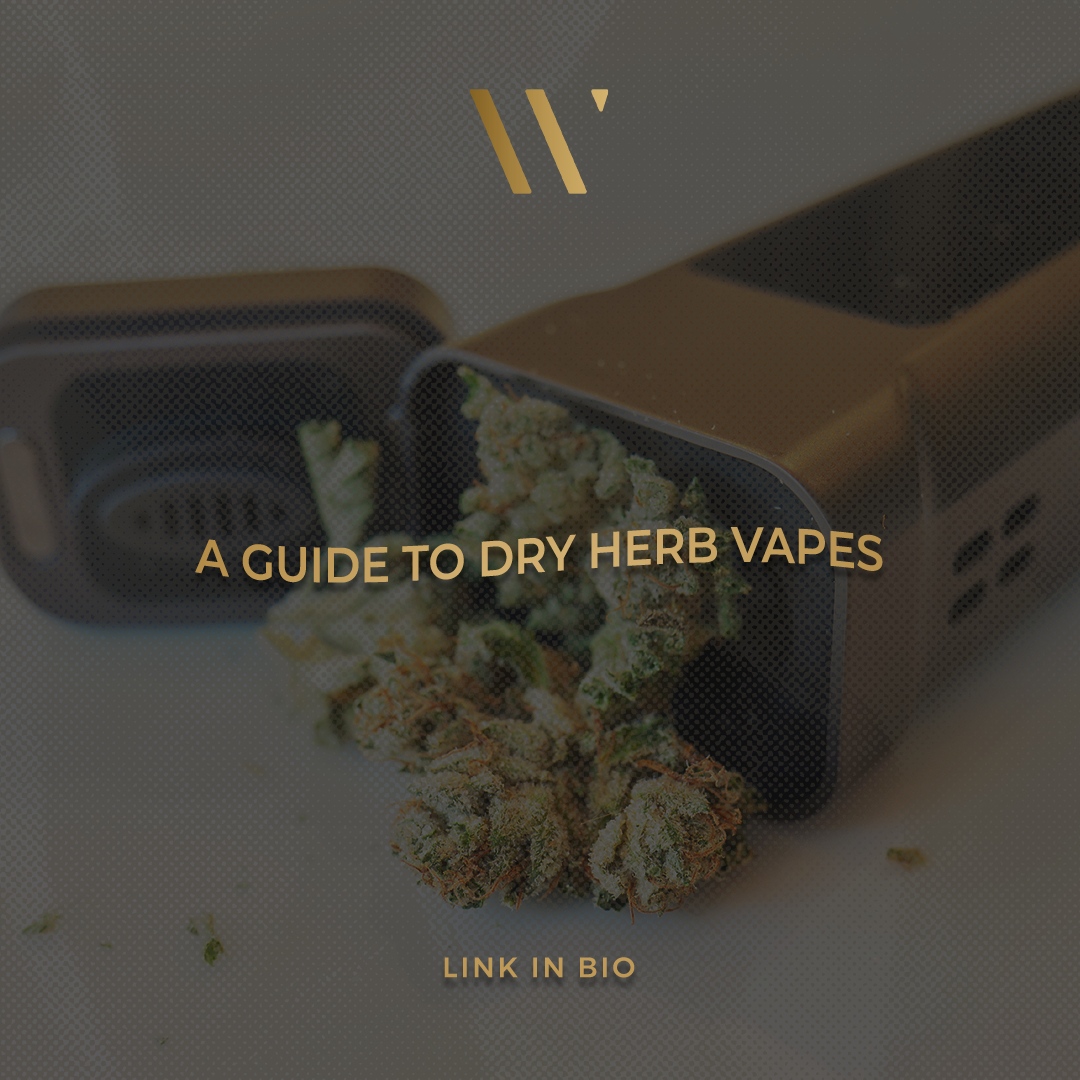 Looking for a healthier alternative to traditional smoking? Our new blog post unveils the world of dry herb vapes, offering insights, tips, and product recommendations for a smooth transition. winkcannabis.com/exhaled-blog/a…