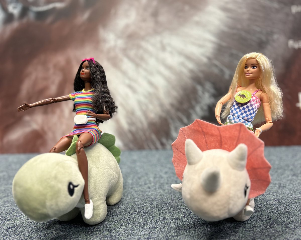 GeolSoc's tweet photo. @Barbie Come on @Barbie let’s go… https://t.co/zmHLulRKBY