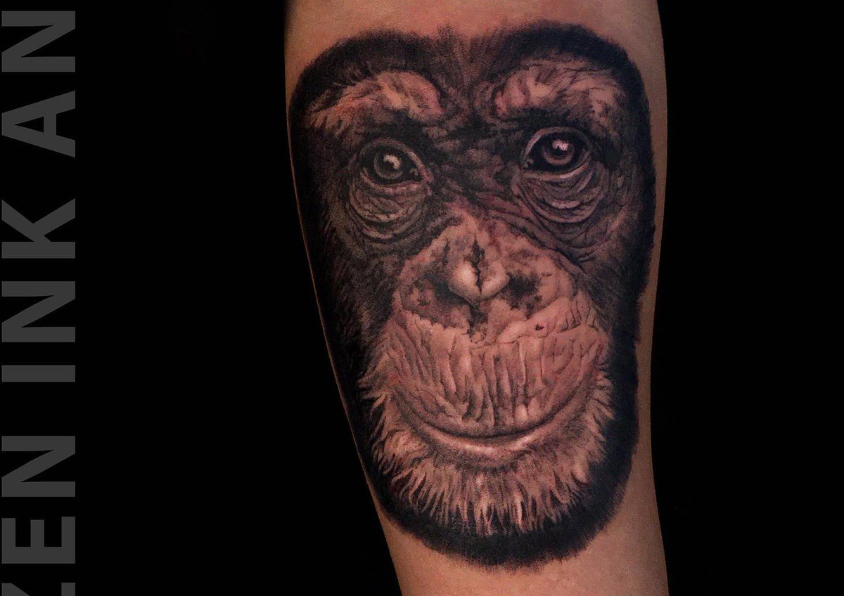 sushmitaroy__'s tweet photo. Chimp Realism Tattoo
_
Toronto Tattoo Studio Frozen Ink And Art by Krishna Roy
https://t.co/8gs97qNQwz
_
#torontotattoostudio #frozeninkandart #krishnaroytattoo #toronto https://t.co/KOYwocOA4H