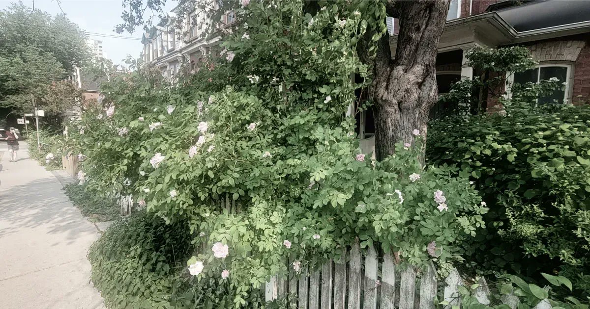 KFArchitecture's tweet image. Exploring our life-sized neighborhood during lunchtime, the perfect way to rejuvenate and power through the rest of the workday.