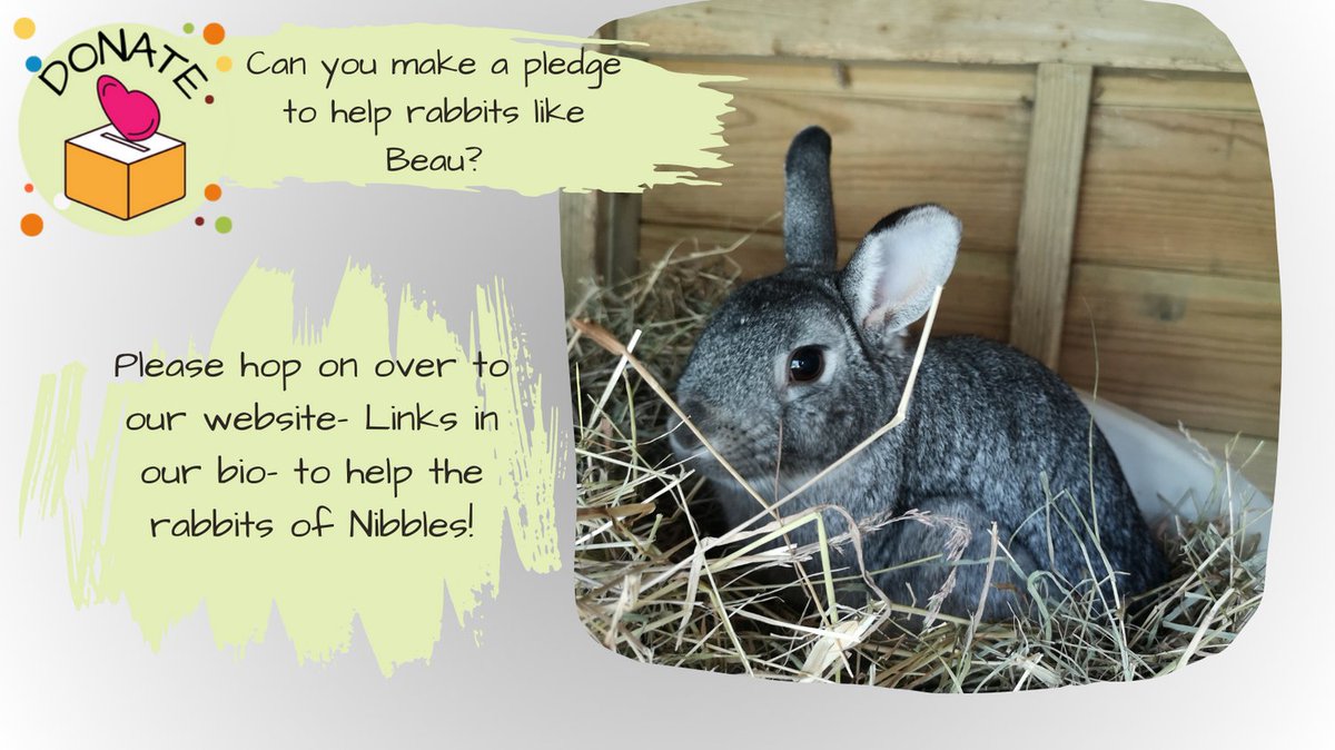 Nibbles Rescue (@teamnibbles) on Twitter photo 