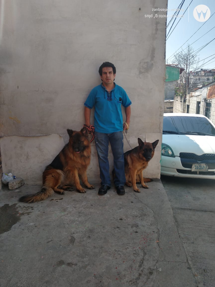 #DiaMundialDelPerro con Zeyith y Xura