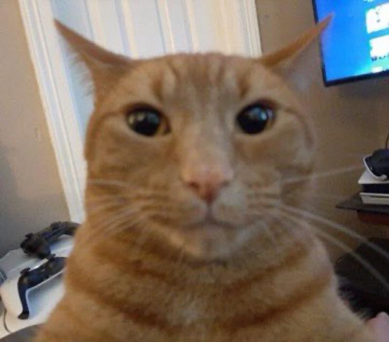 Sims On Twitter You Know What s Really A Banned Book Contrary To sims-on-twitter-you-know-what-s-really-a-banned-book-contrary-to