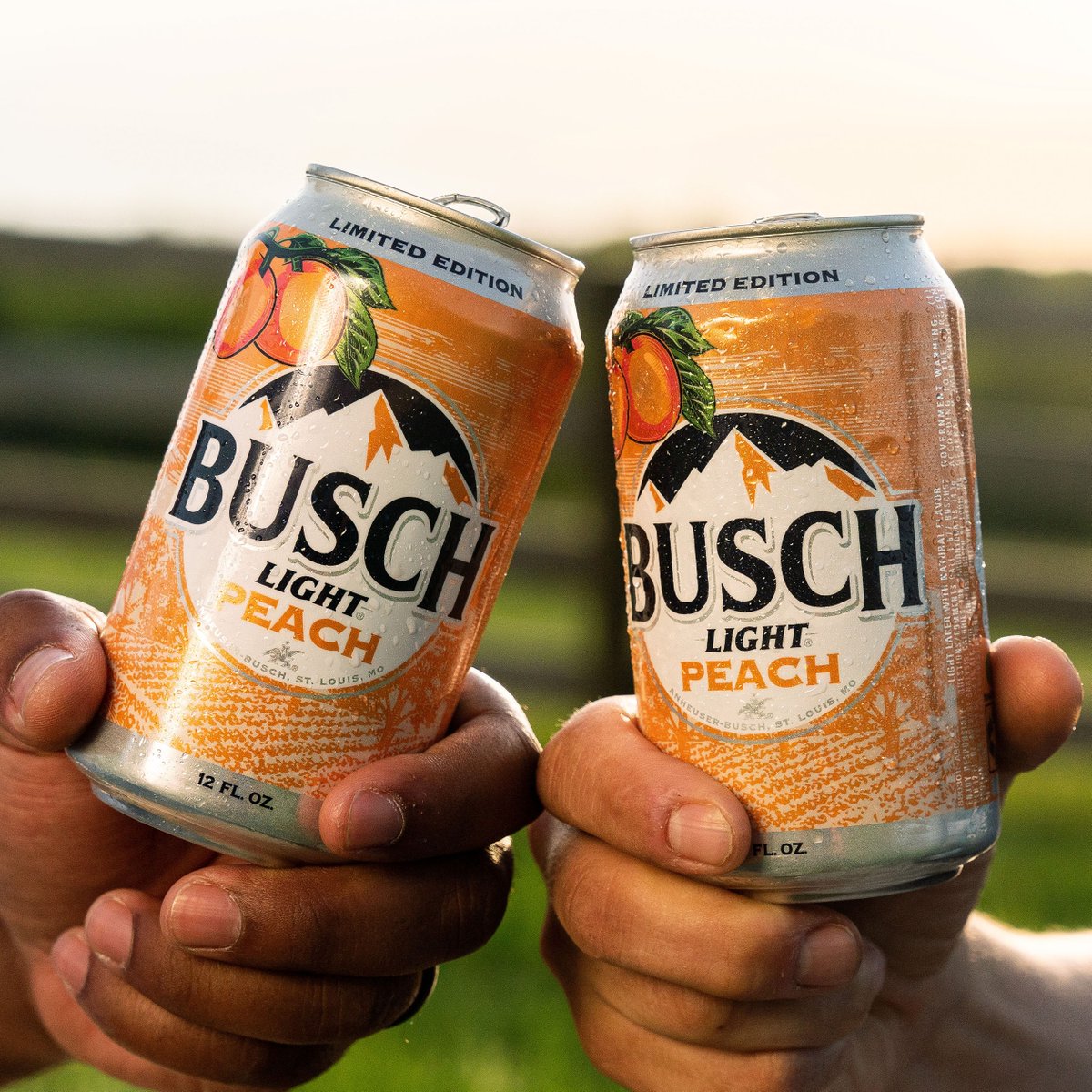 ABofKC's tweet photo. The NEW @BuschBeer is as sweet as a peach 🍑 Try it today!

#buschlightpeach #buschbeer #peach #buschlight #peachbeer https://t.co/C64z98wkxR