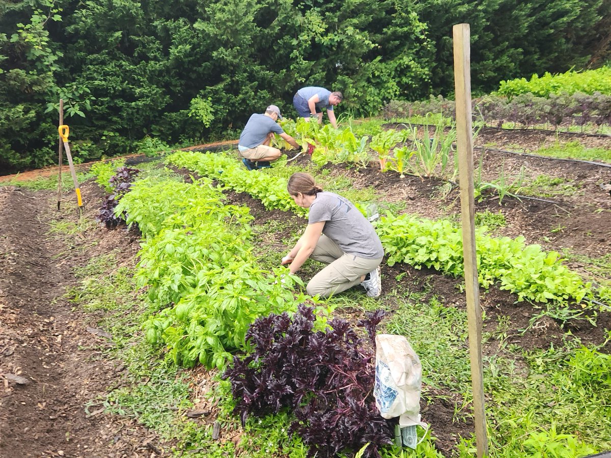 Blue Ridge Power tweet media