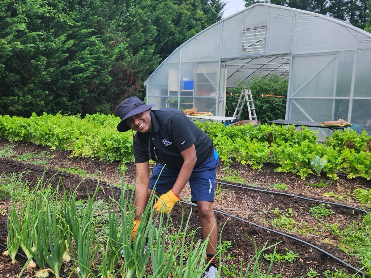 Blue Ridge Power tweet media