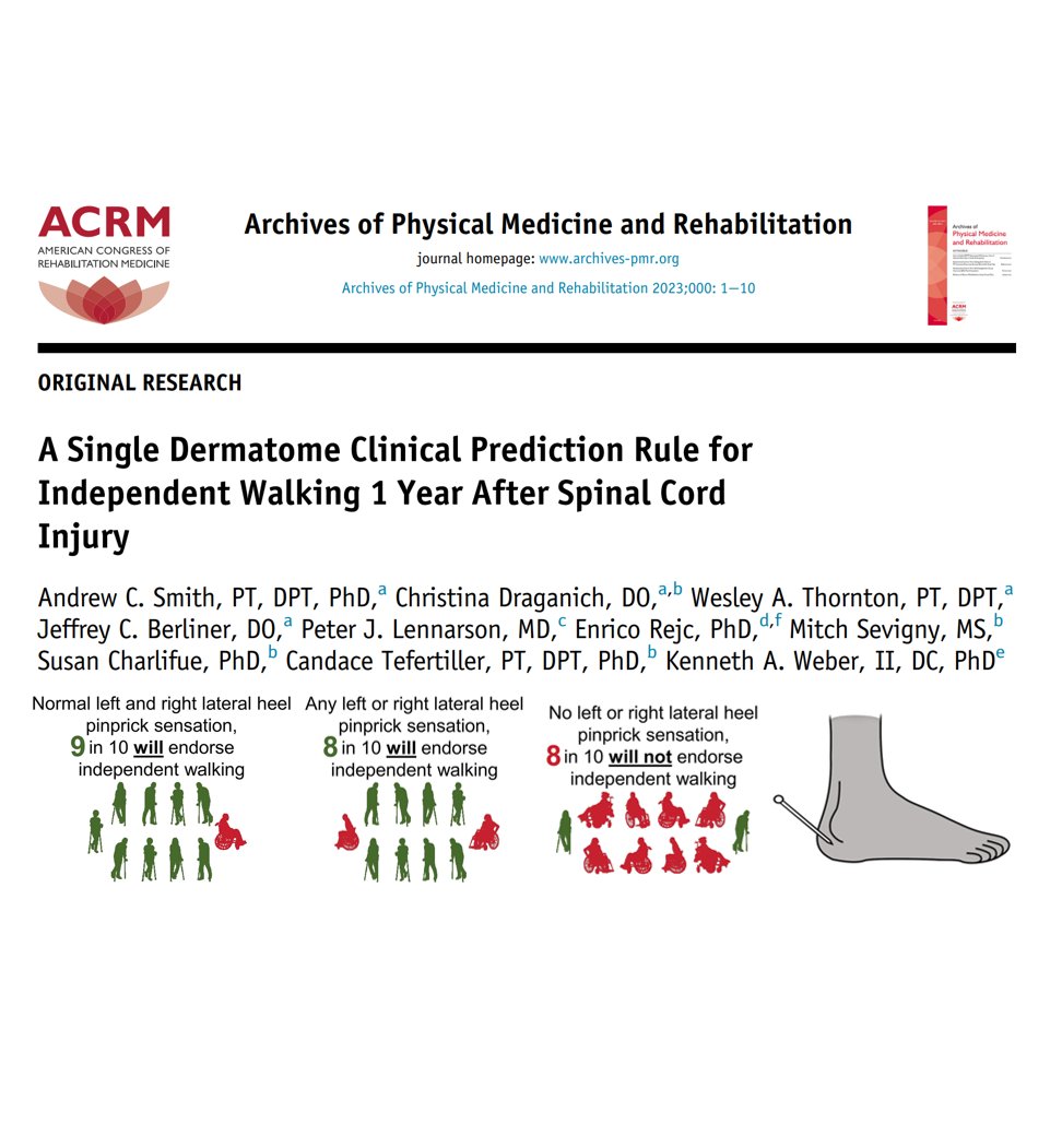 Ken Weber, DC, PhD (@drkenweber) on Twitter photo Our new CPR is out in <a href="/ArchivesPMR/">ArchivesPMR</a>. We focused on keeping it simple and show that early lateral heel pinprick sensory testing predicts future independent walking in people with #SCI: tinyurl.com/2b8b879s
Great job team!
<a href="/CraigHospital/">Craig</a> <a href="/CUPhysTher/">CU Physical Therapy</a> <a href="/CUPhysMed/">CU Physical Medicine</a> <a href="/StanfordPain/">Stanford Pain Medicine</a> Our new CPR is out in <a href="/ArchivesPMR/">ArchivesPMR</a>. We focused on keeping it simple and show that early lateral heel pinprick sensory testing predicts future independent walking in people with #SCI: tinyurl.com/2b8b879s
Great job team!
<a href="/CraigHospital/">Craig</a> <a href="/CUPhysTher/">CU Physical Therapy</a> <a href="/CUPhysMed/">CU Physical Medicine</a> <a href="/StanfordPain/">Stanford Pain Medicine</a>
