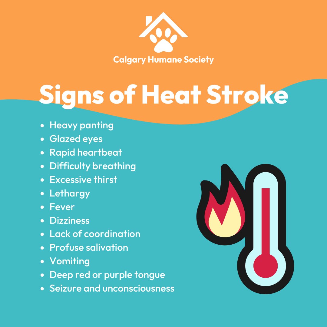 Calgary Humane Society tweet media