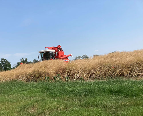 DLGeV's tweet image. 🚜🌞 Erntestart am #IPZ! 🚜Goldenes Korn und spannende Ergebnisse im Systemvergleich #Fruchtfolge. 
👉Erfahre mehr über die Ernteergebnisse und die spannenden Erkenntnisse: dlg.org/de/mitgliedsch…