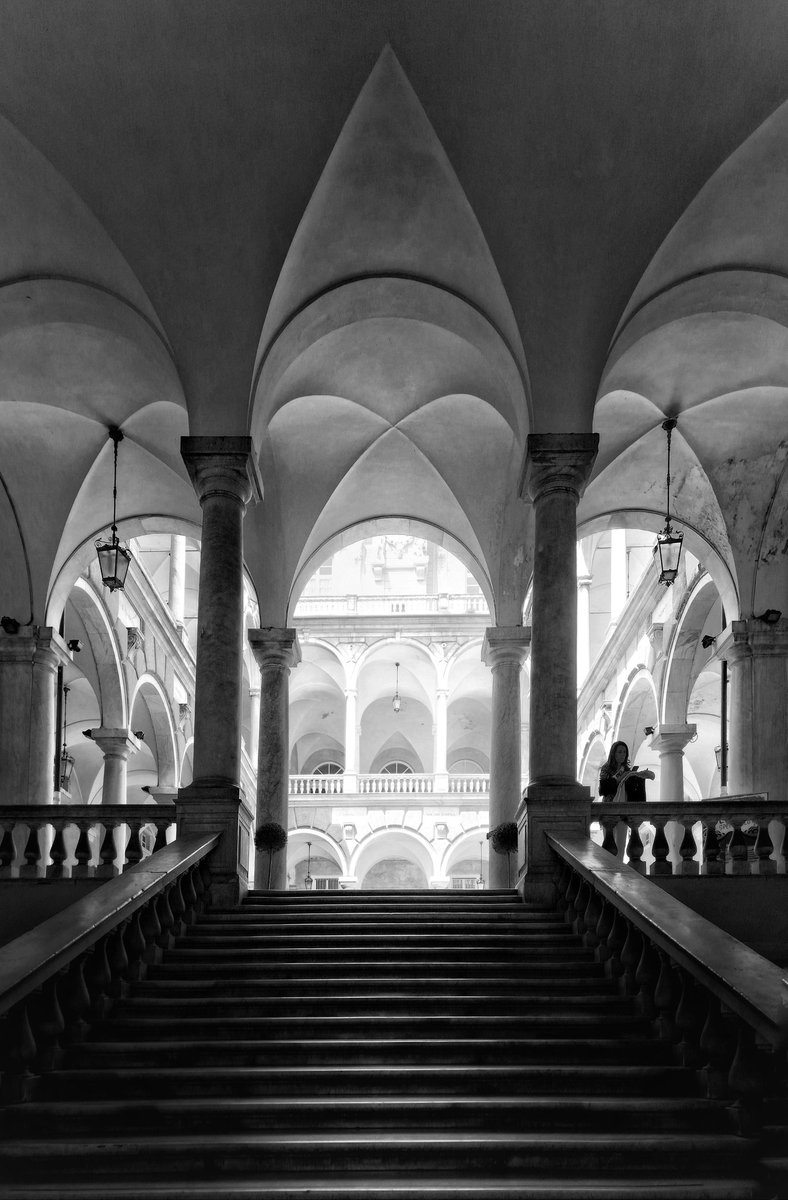 chazzoo77's tweet photo. Arching upwards #blackandwhitephotography #blackandwhitephoto #architecture #photooftheday #photography #mobilephotography https://t.co/2hwkK5O2lv