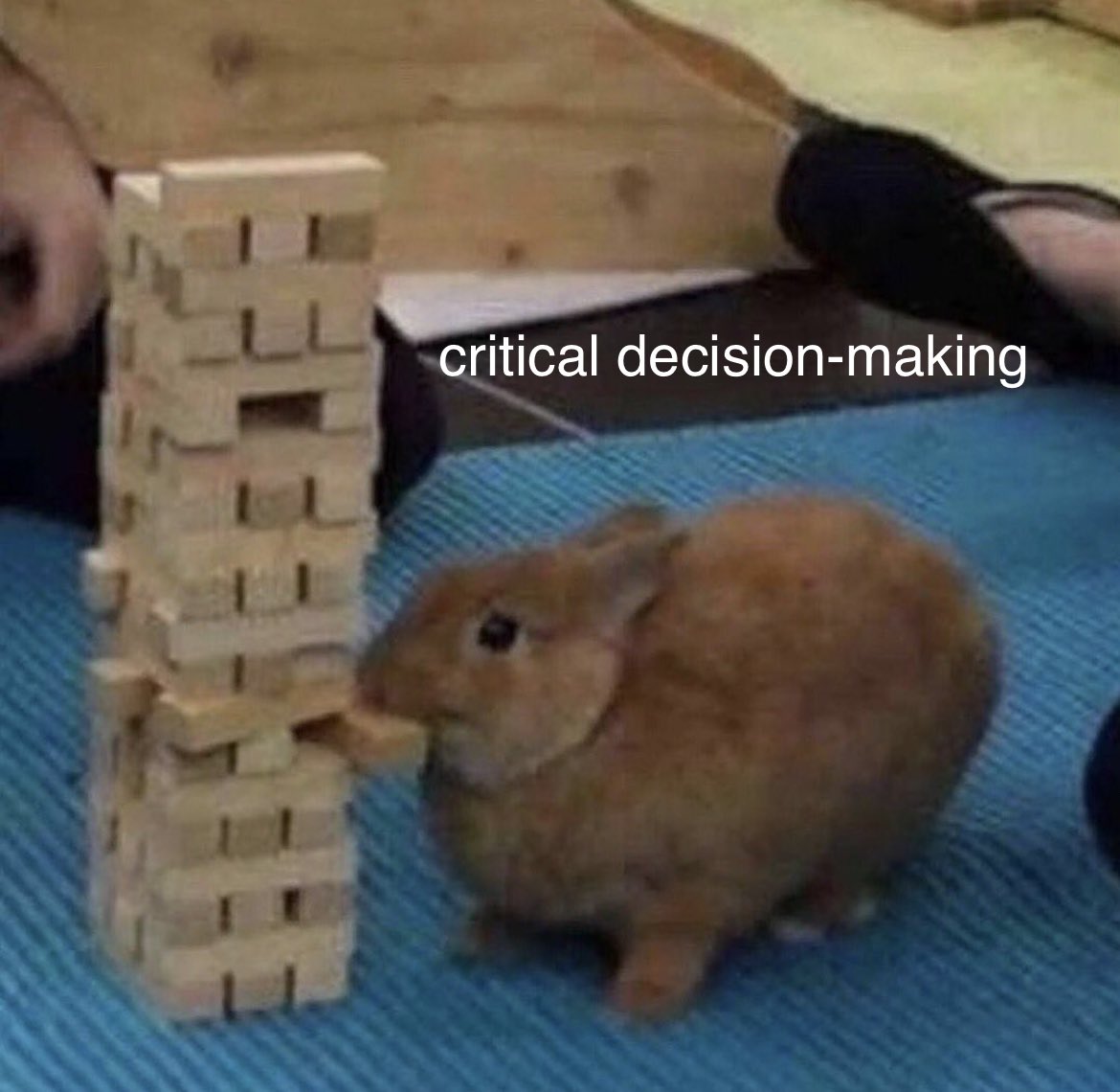 🇫🇲 tweet media