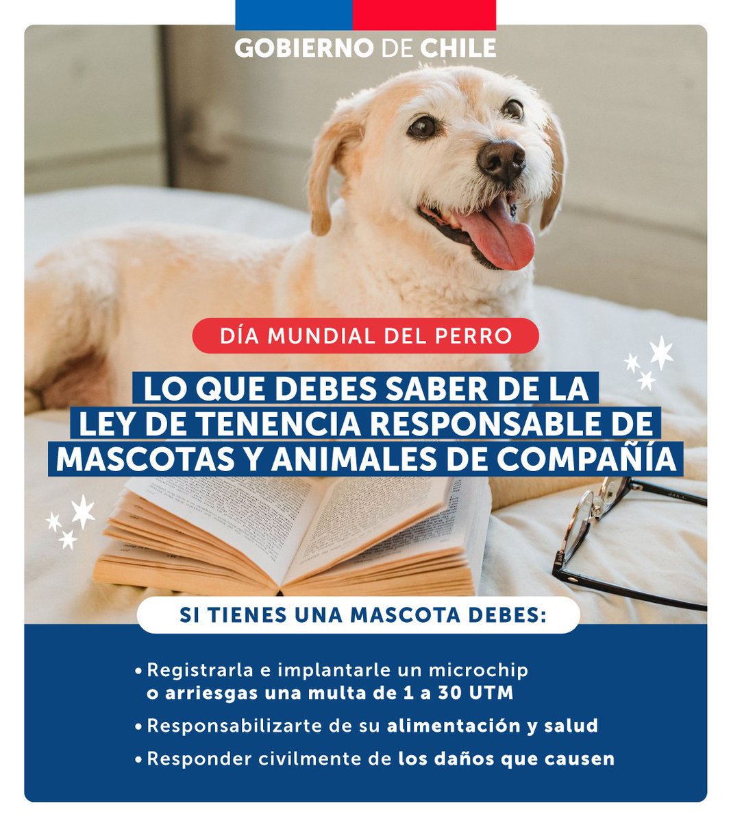 GobiernodeChile's tweet photo. Este #DíaMundialDelPerro, te invitamos a informarte sobre la Ley de Tenencia Responsable☝🏼Cuidar a tus mascotas y animales de compañía, es tu deber. https://t.co/Ew9NnsHKEA