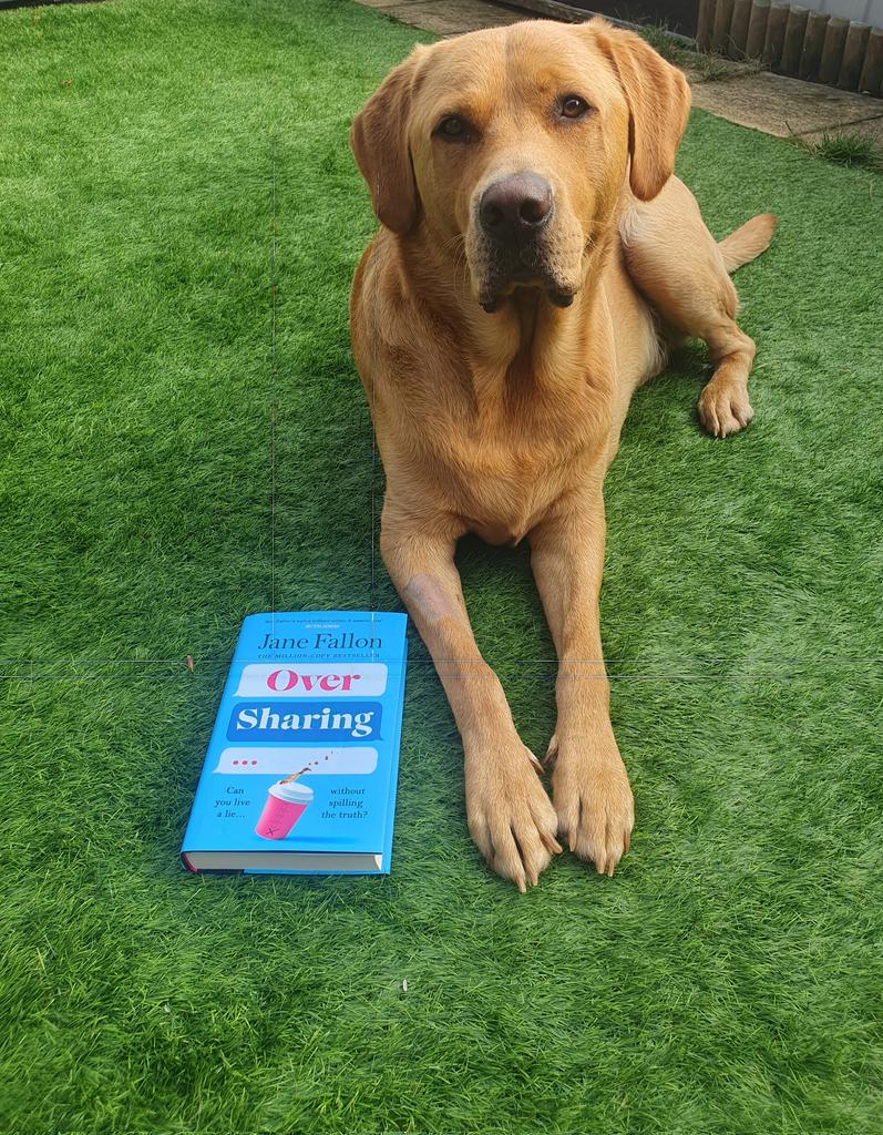 glennmartin50's tweet photo. Considering how seriously ill Bailey has been this week, I'm so happy and emotional to see him get his chance to be a promo pet ❤ dedicated to him and Jack ❤❤
#OverSharing #PromoPet @JaneFallon https://t.co/R6J3trb7hA