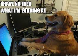 wearehuckfinch's tweet image. When there&apos;s too many animations on a site 🧨

#HuckFinch #WebDevHumor