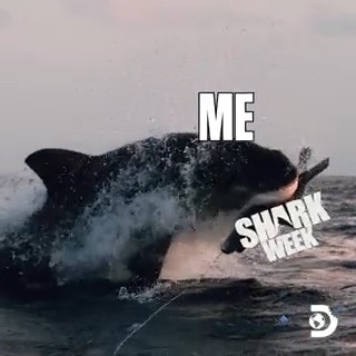 Shark Week on Twitter: 
