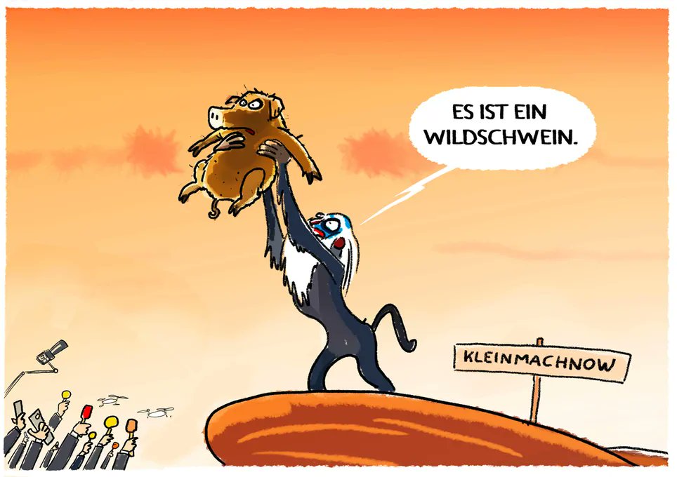 Ich bin ein Berliner.... Wildschwein🐗

#Löwin #Wildschwein #Berlin
(Cartoon: Markus Grolik)