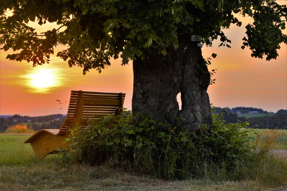 wittlichland's tweet photo. ©️Foto: Bernhard Korst
Wir wünschen Euch mit dieser Aufnahme aus Laufeld ein schönes Wochenende bzw. einen guten Start in die Sommerferien! 🌄
#meinwittlichland #laufeld #nature #sundown #sunrise #summer #landscapephotography #visitrlp #exploreeifel #rlperleben https://t.co/cCmaSjjNT8