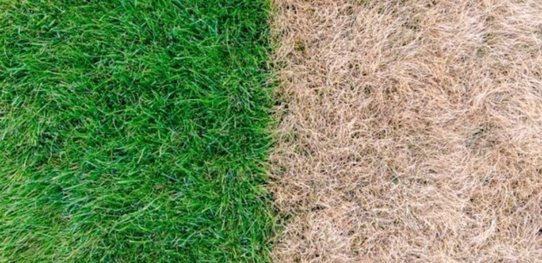 Live look at the border of Westlake and Austin
