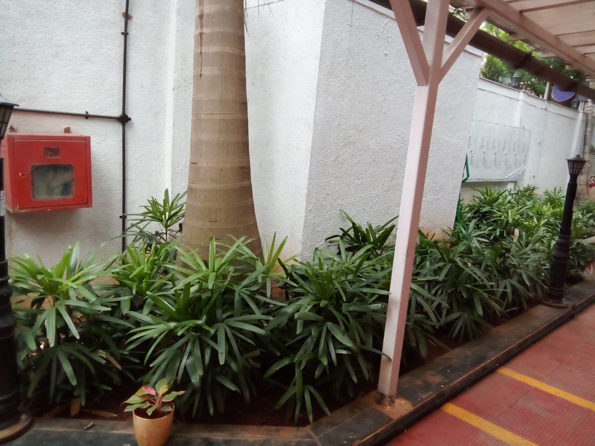 Creating better tomorrow with plants and course applying the principles of sustainability. 

Plants do matter.

 #plant #PlantHappiness #bettertomorrow #greenisthenewtrend #plantsmakepeoplehappy